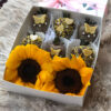 Yellow box